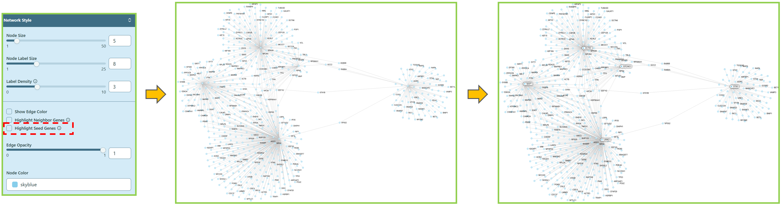 Highlight Seed Genes