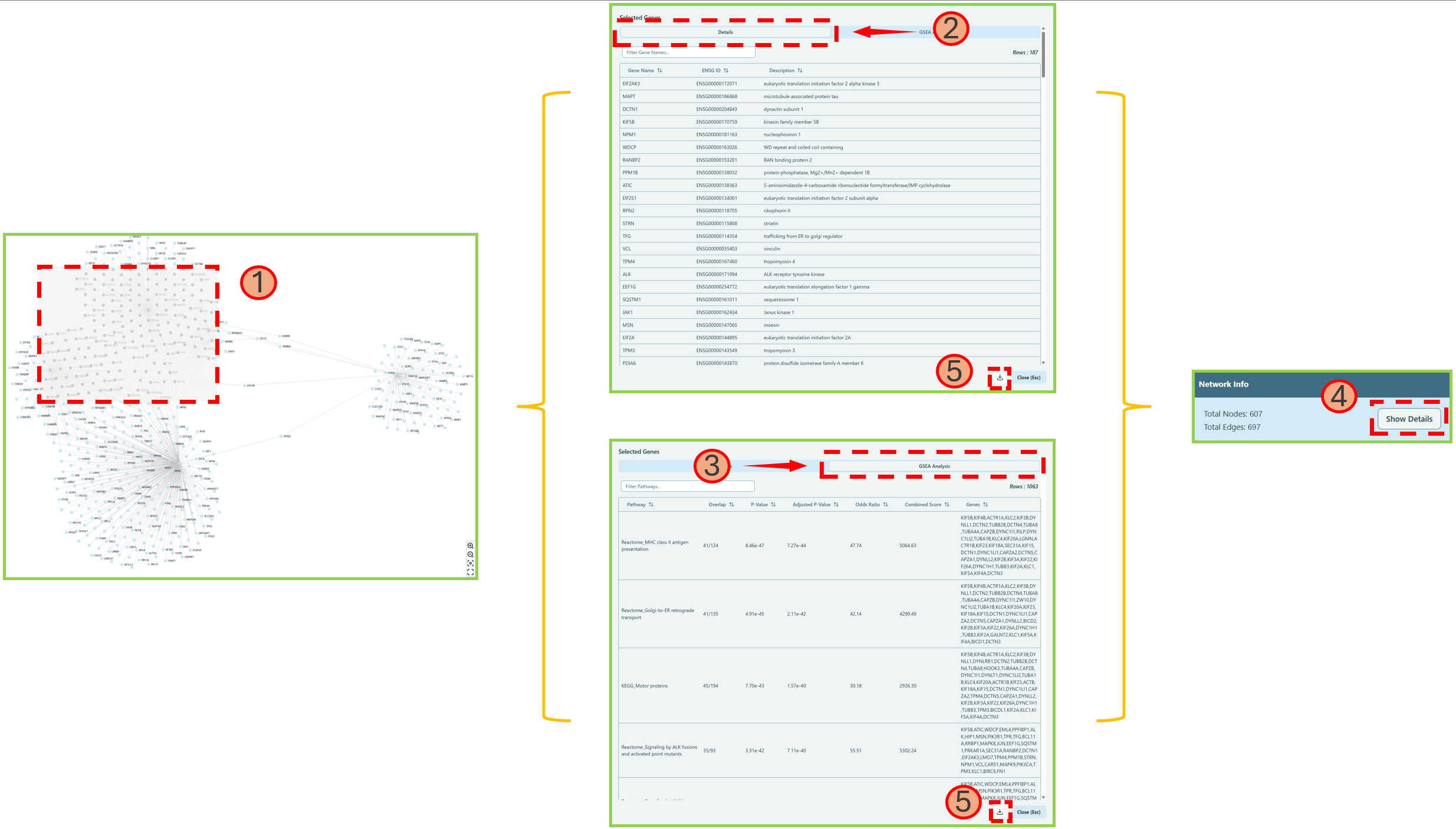 Node Details and GSEA